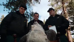 Задник к фильму "Снеговик" #354619