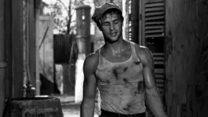 Задник к фильму "Трамвай «Желание»" #726937