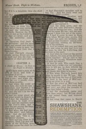 Постер к фильму "Побег из Шоушенка" #165548