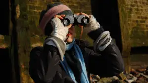 Задник к фильму "" #742240