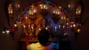 Задник к фильму "Магазинчик ужасов" #668278