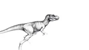 Задник к фильму "Парк Юрского периода 2: Затерянный мир" #281867