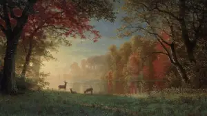 Задник к фильму "Я иду искать" #641468