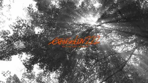 Задник к фильму "Евангелион 2.22: Ты (не) пройдёшь" #186515