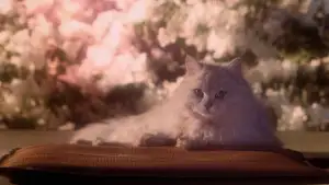 Задник к фильму "Дом" #900610