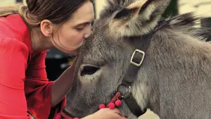 Задник к фильму "Иа" #195297