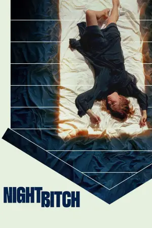 Постер к фильму "Ночная сучка" #643641