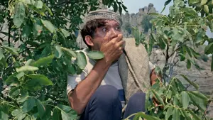 Задник к фильму "Кавказская пленница, или Новые приключения Шурика" #455869