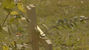 Видео к фильму Moving Day | "Moving Day" a Logan Browning Capstone Film