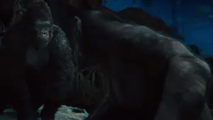 Задник к фильму "Восстание Планеты обезьян" #226312