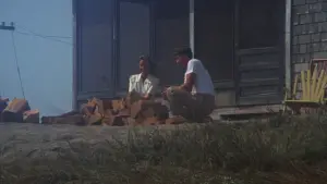 Задник к фильму "Лето 42-го" #356357