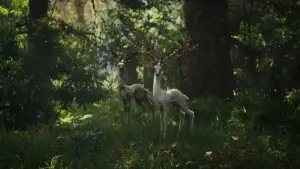 Задник к фильму "Аннигиляция" #618582