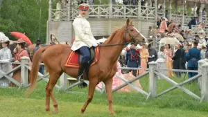 Задник к фильму "Анна Каренина. История Вронского" #482664