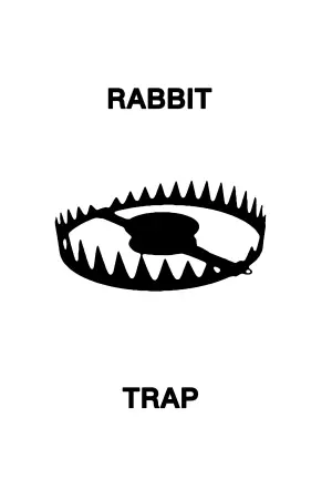 Постер к фильму "Ловушка для кролика" #530235