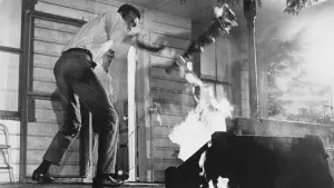 Задник к фильму "Ночь живых мертвецов" #204800