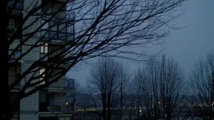 Задник к фильму "" #415606