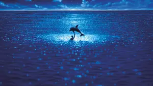 Задник к фильму "Голубая бездна" #213792