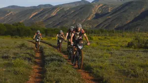 Задник к фильму "" #470029