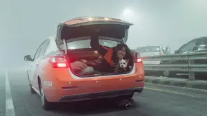 Задник к фильму "" #598379