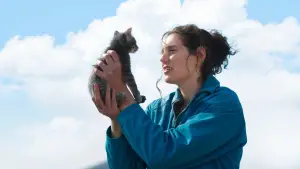 Задник к фильму "Прости, детка" #523420