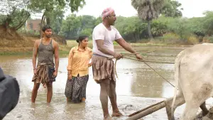 Задник к фильму "பைசன் காளமாடன்" #786355