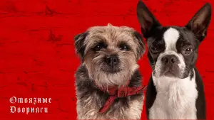 Задник к фильму "Отвязные дворняги" #370970