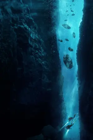 Постер к фильму "Подводный капкан" #323425