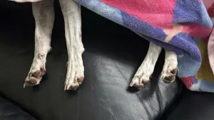 Задник к фильму "" #503495