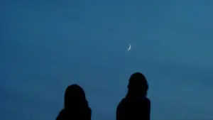 Задник к фильму "Токсичность" #696192