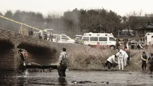 Задник к фильму "Сумасшедший" #468907