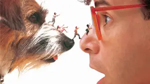 Задник к фильму "Дорогая, я уменьшил детей" #668528