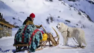 Задник к фильму "Белль и Себастьян: Друзья навек" #400906