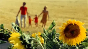 Задник к фильму "Счастье" #490338