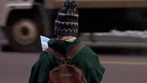 Задник к фильму "Один дома 2: Затерянный в Нью-Йорке" #567466