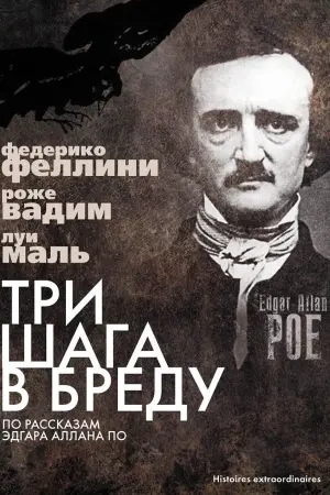 Постер к фильму "Три шага в бреду" #462297