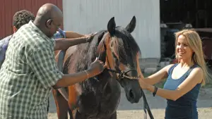 Задник к фильму "" #742515