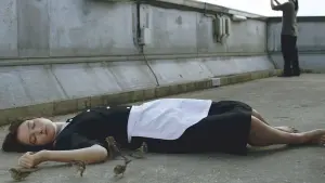 Задник к фильму "Люди и птицы" #492223