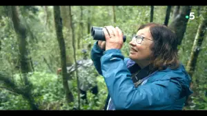 Задник к фильму "" #735904