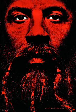 Постер к фильму "Последний охотник на ведьм" #310938