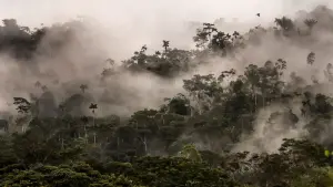 Задник к фильму "Тройная граница" #291668