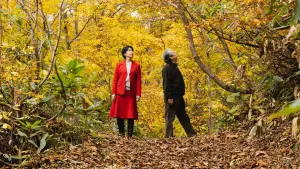 Задник к фильму "" #367032