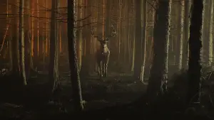 Задник к фильму "" #586443