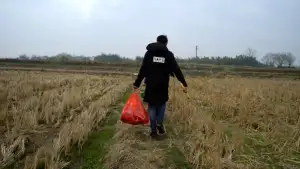 Задник к фильму "青春（归）" #928009