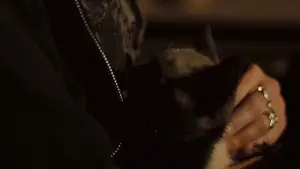 Задник к фильму "Чистка до блеска" #610141