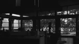 Задник к фильму "Малкольм и Мари" #242789