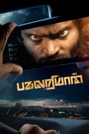 Постер к фильму "Pagalariyaan"