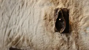 Задник к фильму "Бедные-несчастные" #584113