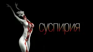 Задник к фильму "Суспирия" #695887
