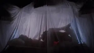 Задник к фильму "Шоу ужасов Рокки Хоррора" #648024