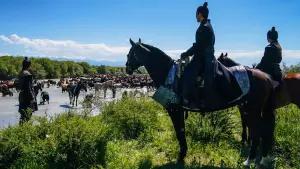 Задник к фильму "" #550801